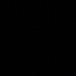 Meet your Posher, Shyanne